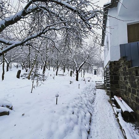 Willa Almas Tanya Vendeghaz Szuha Zewnętrze zdjęcie